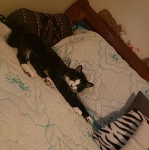 Meet your Posher, Marlene